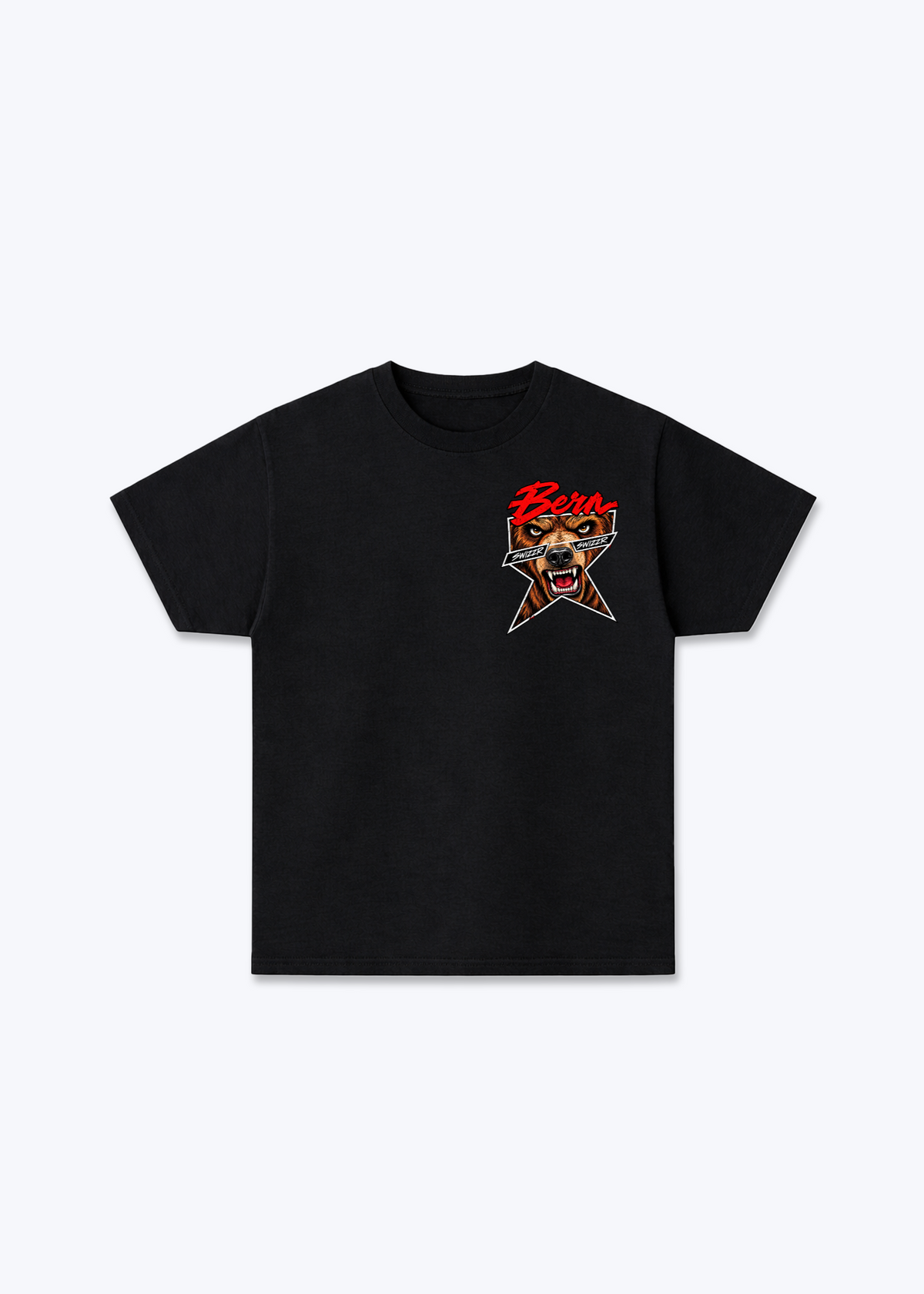 Bern Comic Basic T-Shirt - Black Front (Designed)